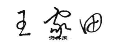 駱恆光王家田草書個性簽名怎么寫