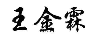 胡問遂王金霖行書個性簽名怎么寫