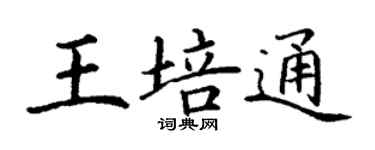 丁謙王培通楷書個性簽名怎么寫