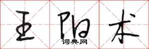 段相林王陽術行書怎么寫