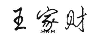 駱恆光王家財行書個性簽名怎么寫