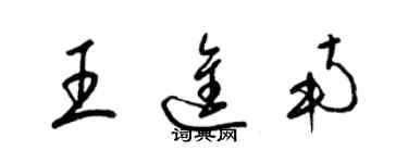 梁錦英王進南草書個性簽名怎么寫