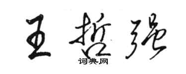 駱恆光王哲強行書個性簽名怎么寫