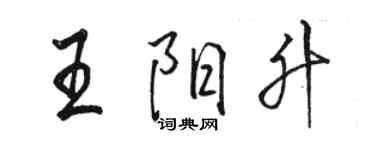 駱恆光王陽升行書個性簽名怎么寫