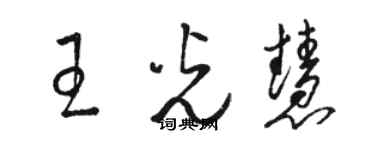 駱恆光王光慧草書個性簽名怎么寫