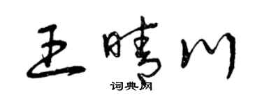 曾慶福王晴川草書個性簽名怎么寫