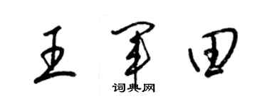 梁錦英王軍田草書個性簽名怎么寫