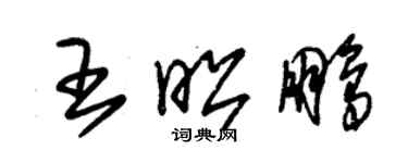 朱錫榮王昭鵬草書個性簽名怎么寫