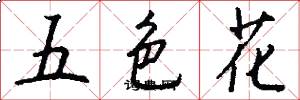 五色花怎么寫好看