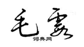 曾慶福毛霞草書個性簽名怎么寫
