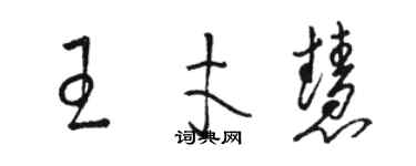 駱恆光王才慧草書個性簽名怎么寫