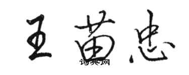 駱恆光王苗忠行書個性簽名怎么寫