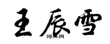 胡問遂王辰雪行書個性簽名怎么寫