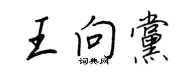 王正良王向黨行書個性簽名怎么寫