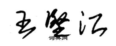 朱錫榮王堅江草書個性簽名怎么寫