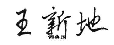 駱恆光王新地行書個性簽名怎么寫