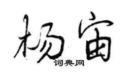曾慶福楊宙行書個性簽名怎么寫