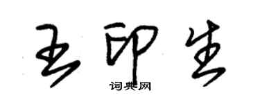 朱錫榮王印生草書個性簽名怎么寫