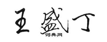 駱恆光王盛丁行書個性簽名怎么寫