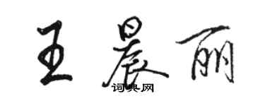 駱恆光王晨麗行書個性簽名怎么寫