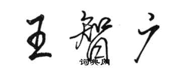 駱恆光王智廣行書個性簽名怎么寫