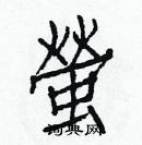 白克儉寫的硬筆楷書螢