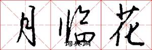 月臨花怎么寫好看