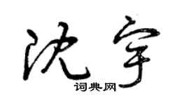 曾慶福沈宇草書個性簽名怎么寫