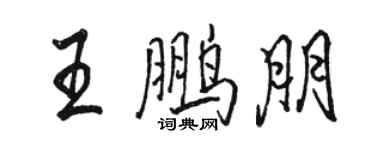 駱恆光王鵬朋行書個性簽名怎么寫