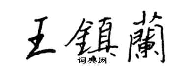 王正良王鎮蘭行書個性簽名怎么寫