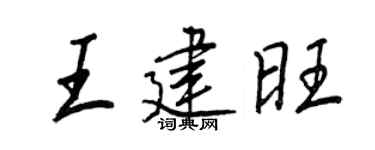 王正良王建旺行書個性簽名怎么寫
