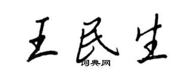 王正良王民生行書個性簽名怎么寫