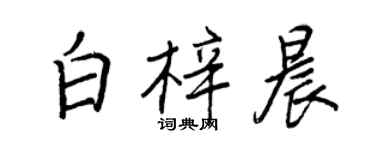 王正良白梓晨行書個性簽名怎么寫