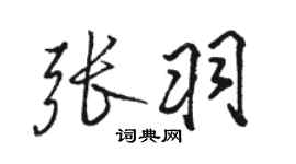 駱恆光張羽行書個性簽名怎么寫