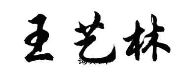 胡問遂王藝林行書個性簽名怎么寫