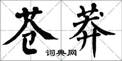 翁闓運蒼莽楷書怎么寫