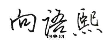 駱恆光向語熙行書個性簽名怎么寫