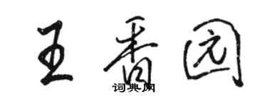 駱恆光王香園行書個性簽名怎么寫