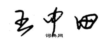 朱錫榮王中田草書個性簽名怎么寫