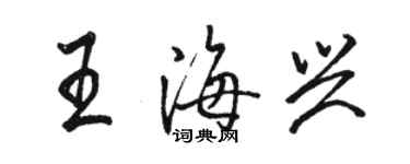 駱恆光王海興行書個性簽名怎么寫