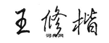 駱恆光王修楷行書個性簽名怎么寫