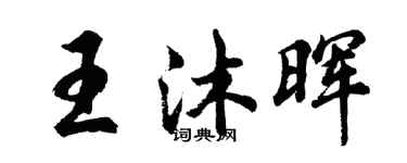 胡問遂王沐暉行書個性簽名怎么寫