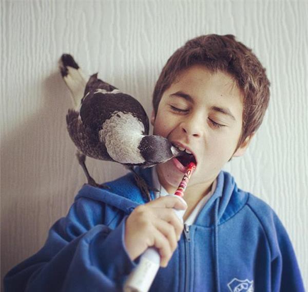 1947年2月3日電影《八千里路雲和月》廣受歡迎_歷史上的今天