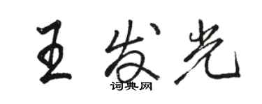 駱恆光王發光行書個性簽名怎么寫