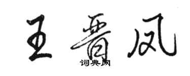 駱恆光王晉鳳行書個性簽名怎么寫