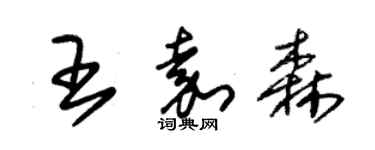 朱錫榮王嘉森草書個性簽名怎么寫