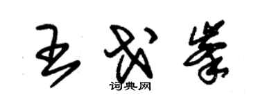 朱錫榮王戈峰草書個性簽名怎么寫