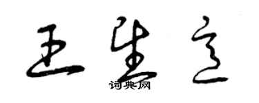 曾慶福王望意草書個性簽名怎么寫