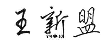 駱恆光王新盟行書個性簽名怎么寫
