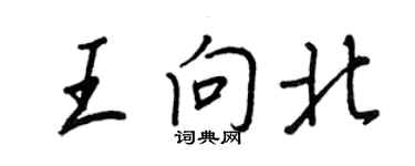 王正良王向北行書個性簽名怎么寫